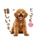 敬語で伝える♡トイプードル（個別スタンプ：11）