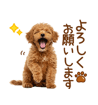敬語で伝える♡トイプードル（個別スタンプ：15）