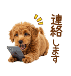 敬語で伝える♡トイプードル（個別スタンプ：17）
