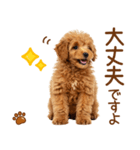 敬語で伝える♡トイプードル（個別スタンプ：18）
