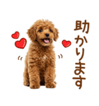 敬語で伝える♡トイプードル（個別スタンプ：19）
