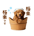 敬語で伝える♡トイプードル（個別スタンプ：20）