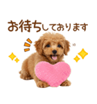 敬語で伝える♡トイプードル（個別スタンプ：24）