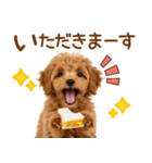 敬語で伝える♡トイプードル（個別スタンプ：29）