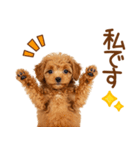 敬語で伝える♡トイプードル（個別スタンプ：32）