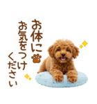 敬語で伝える♡トイプードル（個別スタンプ：33）