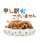 敬語で伝える♡トイプードル（個別スタンプ：36）