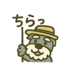くすっと笑えるしゅなの毎日。（個別スタンプ：3）
