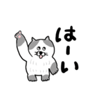 ねこのねこ夫（個別スタンプ：1）