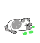 ねこのねこ夫（個別スタンプ：15）