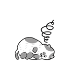 ねこのねこ夫（個別スタンプ：27）