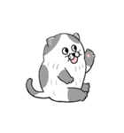 ねこのねこ夫（個別スタンプ：29）