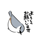 ちいさなとりさんたち（個別スタンプ：11）