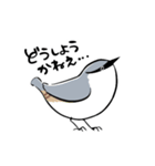 ちいさなとりさんたち（個別スタンプ：13）