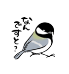 ちいさなとりさんたち（個別スタンプ：22）