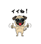 落書きな毎日使えるパグ（個別スタンプ：3）