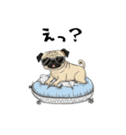 落書きな毎日使えるパグ（個別スタンプ：7）