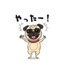 落書きな毎日使えるパグ（個別スタンプ：33）