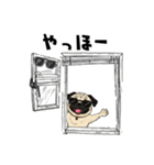 落書きな毎日使えるパグ（個別スタンプ：34）