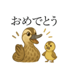 トリのおしゃべり5 - カルガモ2（個別スタンプ：4）