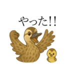 トリのおしゃべり5 - カルガモ2（個別スタンプ：10）