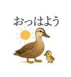 トリのおしゃべり5 - カルガモ2（個別スタンプ：18）