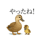 トリのおしゃべり5 - カルガモ2（個別スタンプ：23）