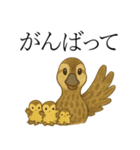 トリのおしゃべり5 - カルガモ2（個別スタンプ：26）