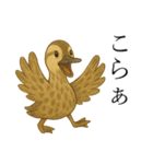 トリのおしゃべり5 - カルガモ2（個別スタンプ：27）