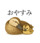 トリのおしゃべり5 - カルガモ2（個別スタンプ：29）