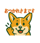 帽子好きのコーギー（個別スタンプ：5）