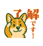 帽子好きのコーギー（個別スタンプ：7）