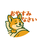 帽子好きのコーギー（個別スタンプ：12）