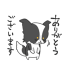 感謝を伝えたいボーダーコリー（個別スタンプ：2）