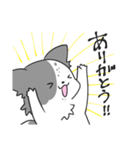 感謝を伝えたいボーダーコリー（個別スタンプ：3）