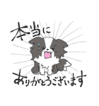 感謝を伝えたいボーダーコリー（個別スタンプ：4）