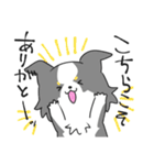 感謝を伝えたいボーダーコリー（個別スタンプ：5）