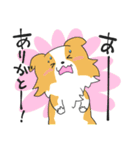 感謝を伝えたいボーダーコリー（個別スタンプ：10）