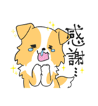 感謝を伝えたいボーダーコリー（個別スタンプ：19）