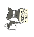 感謝を伝えたいボーダーコリー（個別スタンプ：20）