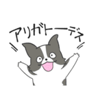 感謝を伝えたいボーダーコリー（個別スタンプ：22）
