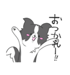 感謝を伝えたいボーダーコリー（個別スタンプ：31）