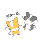 感謝を伝えたいボーダーコリー（個別スタンプ：37）
