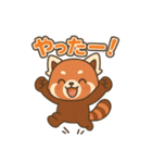 そっと寄り添うレッサーパンダのスタンプ（個別スタンプ：13）