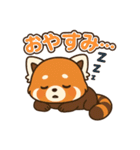 そっと寄り添うレッサーパンダのスタンプ（個別スタンプ：24）