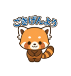 そっと寄り添うレッサーパンダのスタンプ（個別スタンプ：39）