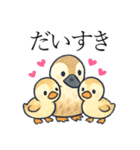 トリのおしゃべり4 - カルガモ1（個別スタンプ：1）