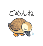 トリのおしゃべり4 - カルガモ1（個別スタンプ：3）