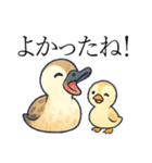 トリのおしゃべり4 - カルガモ1（個別スタンプ：5）