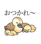 トリのおしゃべり4 - カルガモ1（個別スタンプ：6）